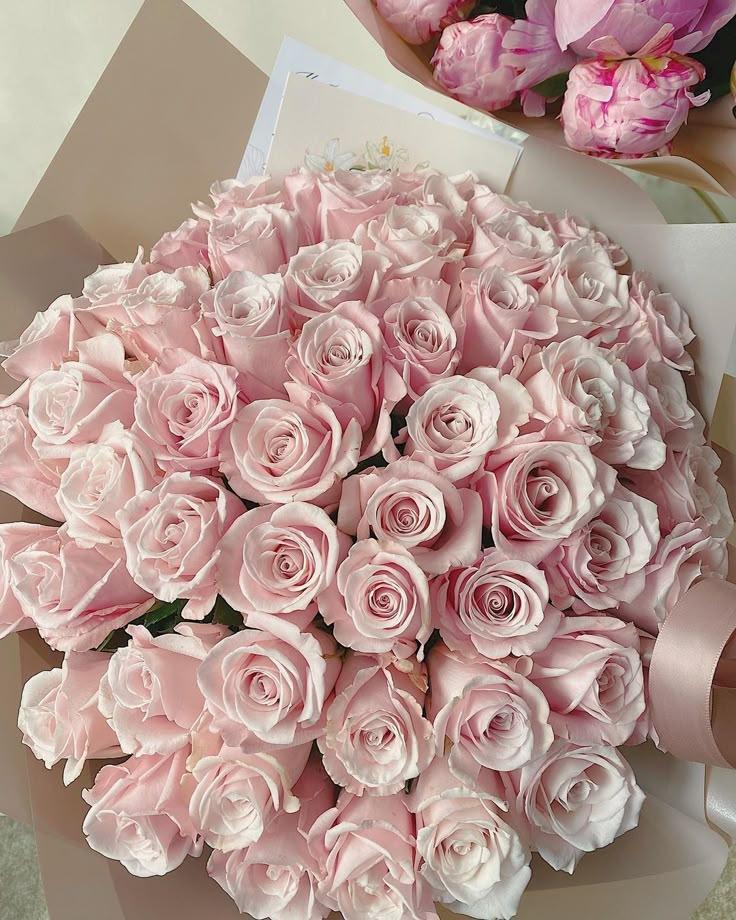 Twilight Serenade Petal Collection